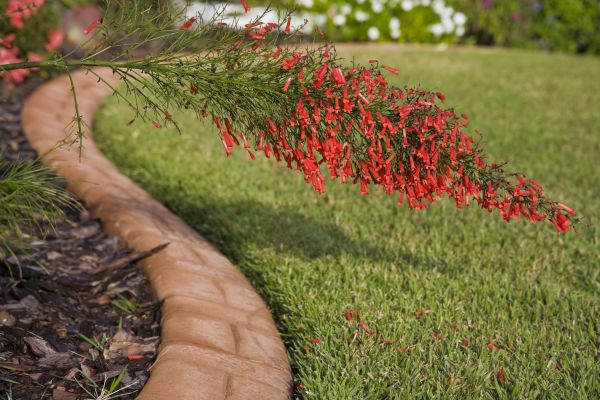Brick Edging in Redmond