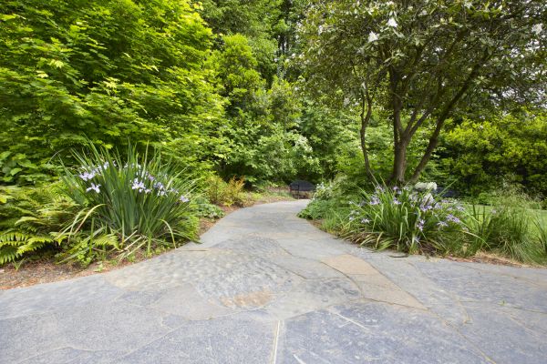 Stone Hardscape Service in Redmond